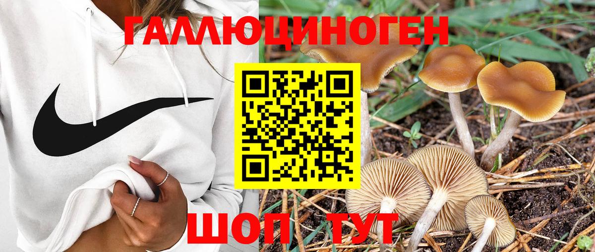 Галлюциногенные грибы Magic Shrooms  Вход с VPN  Видное 